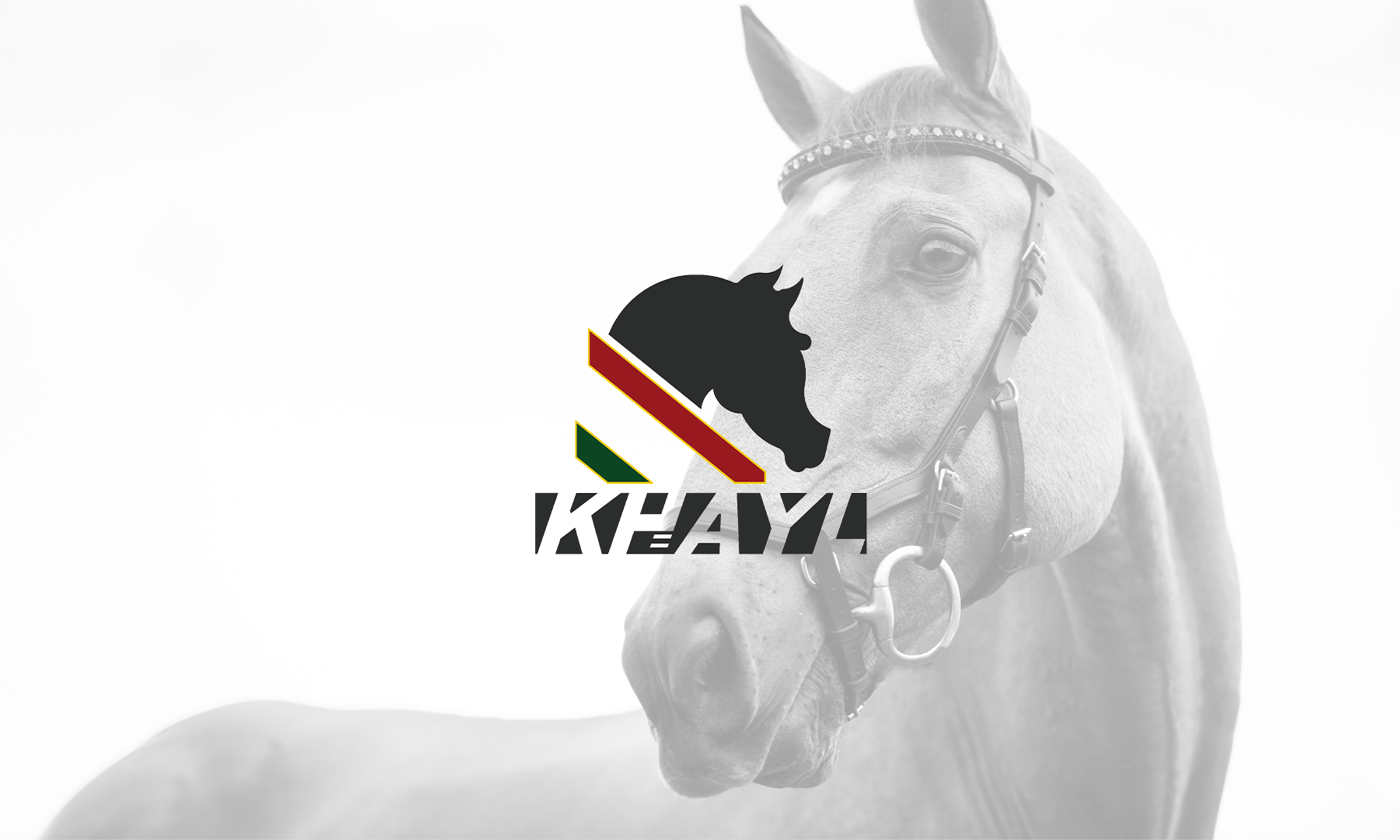 LOGO KHayl club bande